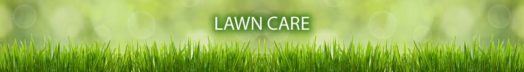 lawn care buffalo